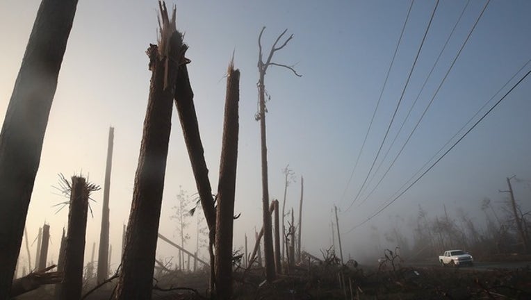 d1a00d29-GETTY_hurricane michael trees_120918_1544371813697.png.jpg