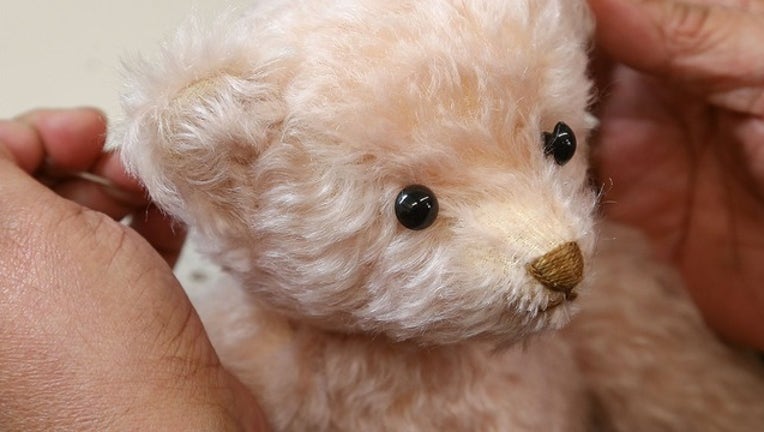 Teddy bear cameras 2025
