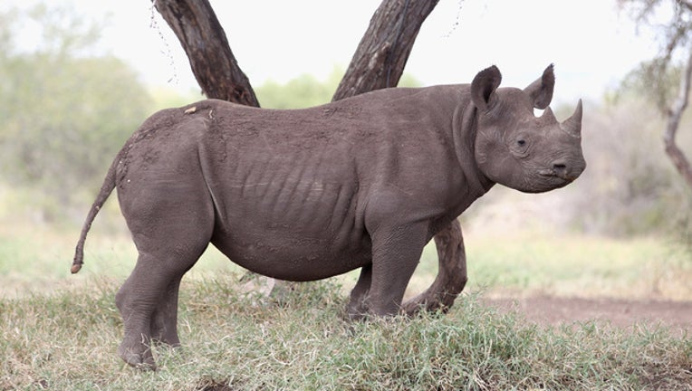 03ea9cd6-70253413_1531490825534-408200