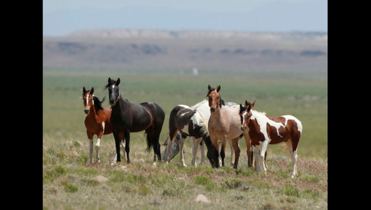 5b9234f3-96065510_1538763721551-405538