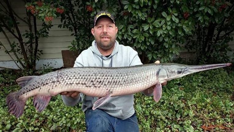 7fc8fca3-Giant-Fish (1)_1549376950035.jpg-401720.jpg