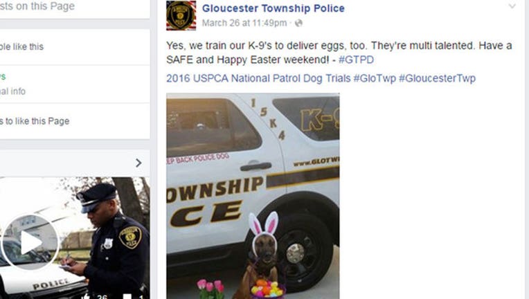 eeb3e0c3-Gloucester Canine-402970