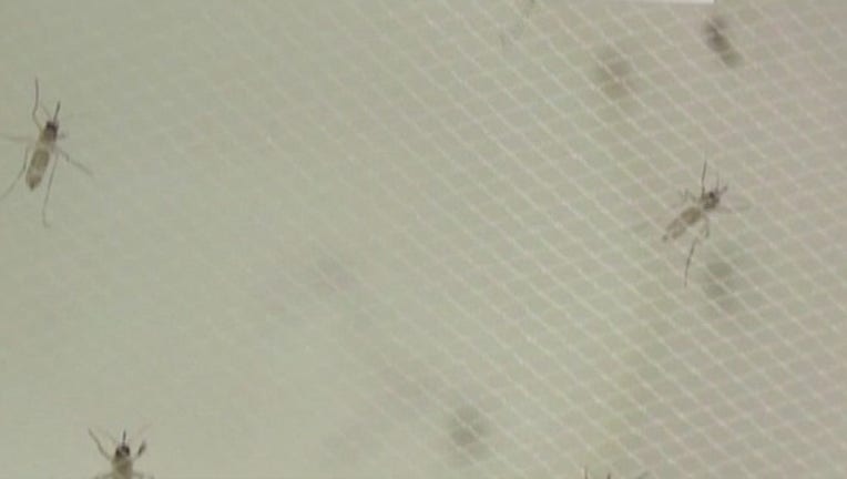 Health_officials_warn_travelers_on_Zika__1_20160127181654-407068
