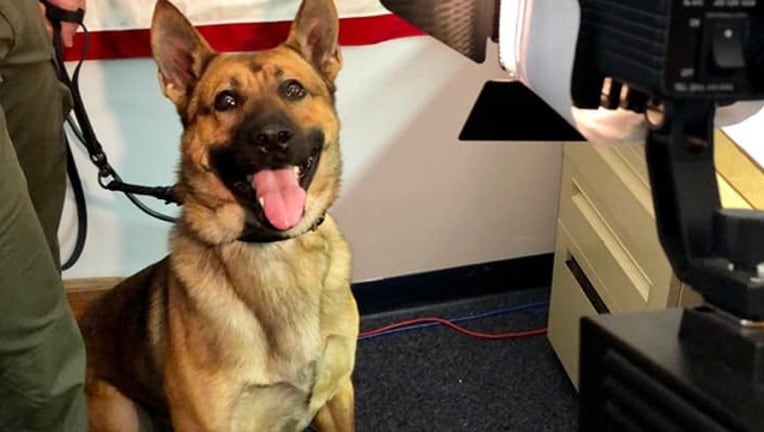 75c9c7f7-JACKSONVILLE SO_k9 valor_013119_1548947802463.png.jpg