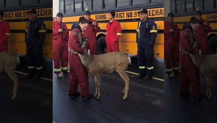084f865e-JAN GIESBRECHT_deer hugging firefighter_090318_1535981147322.jpg.jpg