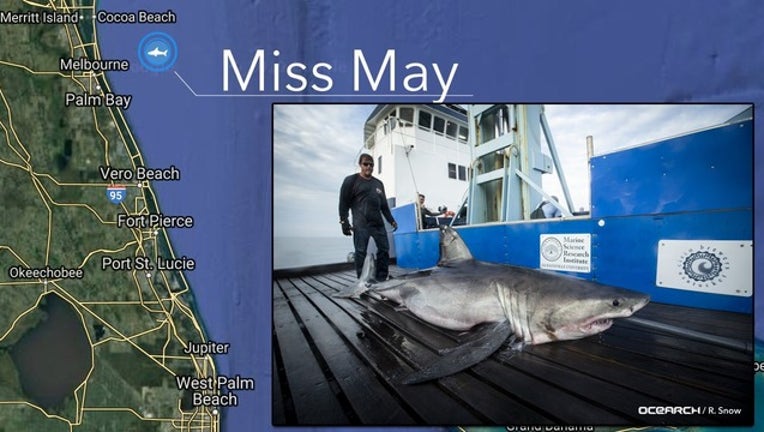 5ec75f03-OCEARCH_miss may_043019_1556645522066.png.jpg
