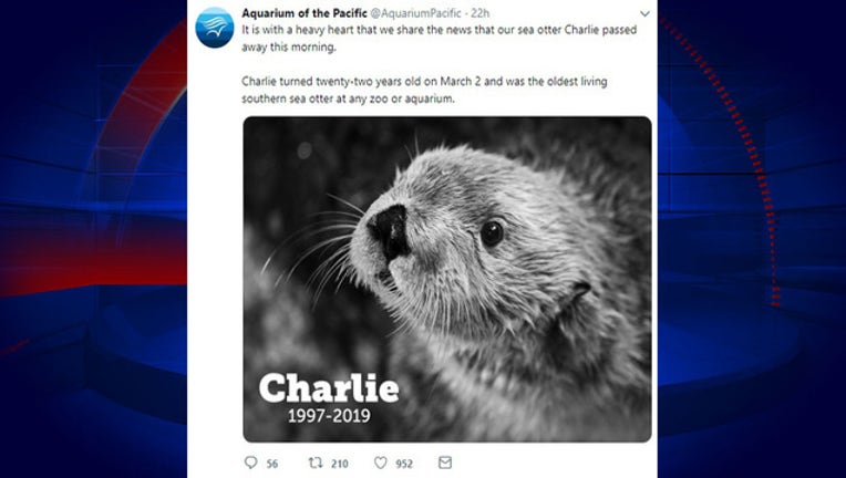 1784039d-OTTER DIES GRAPHIC_1556051178499.jpg.jpg