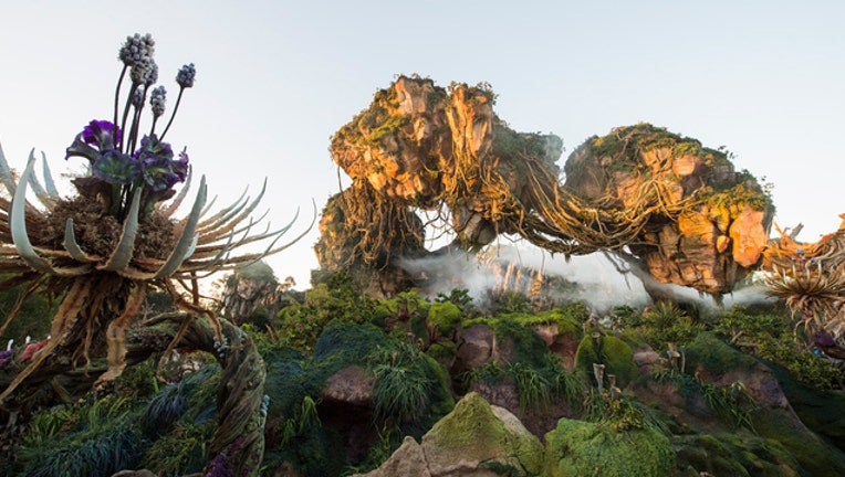 Pandora 4_1494622367431.jpg