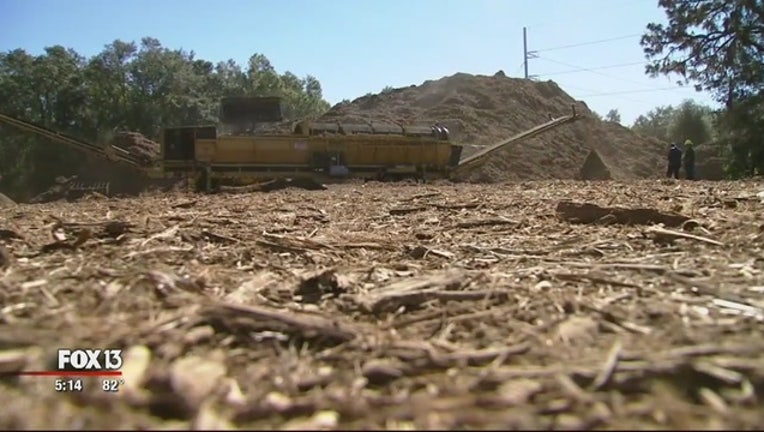 0cb16470-Recycled_storm_debris_is_big_business_in_0_20171102215137-401385