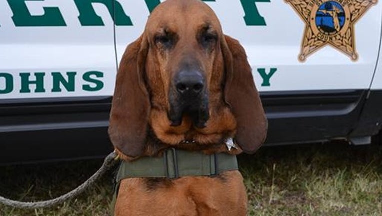 St. Johns County Sheriff's Office_k9 invey_041619_1555444076073.png.jpg