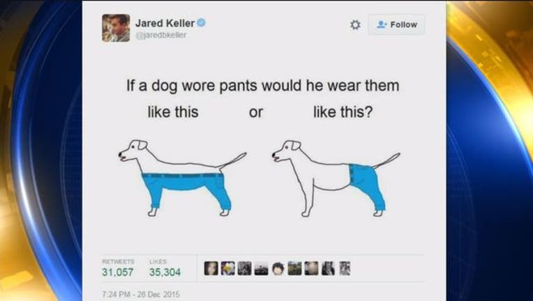 226fc36d-Dog_Pants_Debate-401720.jpg