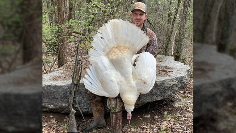 25d642b9-TENNESSEE WILDLIFE RESOURCES AGENCY_turkey hunt_041419_1555269425117.png.jpg