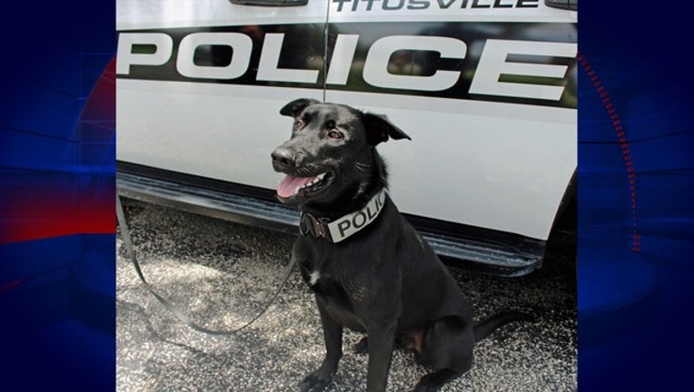 6913743d-TITUSVILLE POLICE_K9 Chase(1)_111918_1542658572264.png.jpg