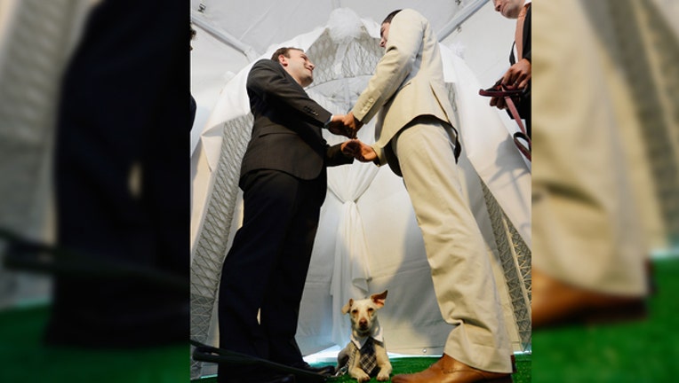 a07fbf88-WEDDING-WITH-DOG-GETTY_1538498745825-401720.jpg