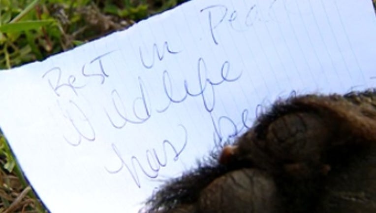 84301a14-WOFL_bear rest in peace_112818_1543427157042.png.jpg