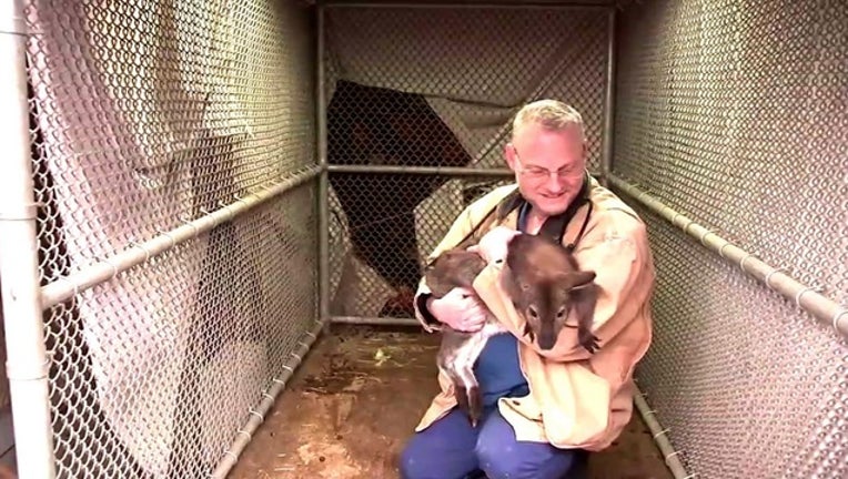 b647f295-Wallaby-Found.JPG