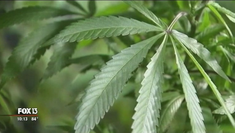 What_medical_marijuana_law_doesn_t_allow_0_20170627023259-401385