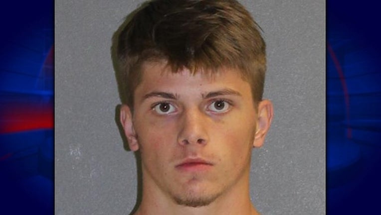 fbd17401-alex vignati_1517230250228.png.jpg