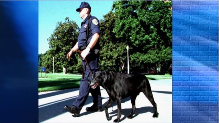 cf9e579f-bombdog_1458962004008.jpg