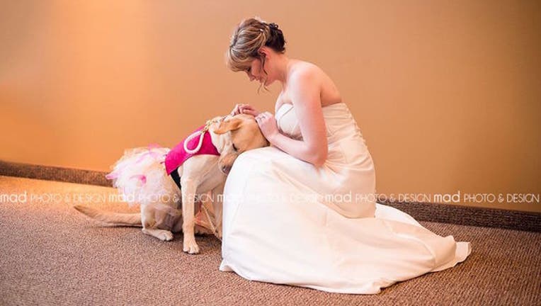511dd295-bride-dog_1452961770513-404023.jpg