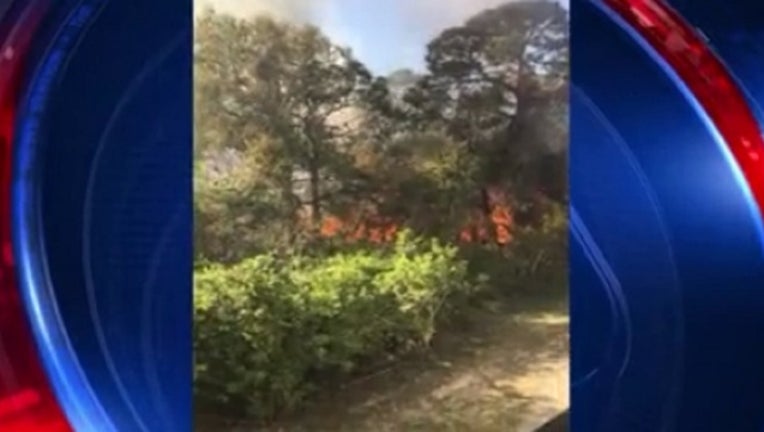 cc91ad94-brush fire_1520219779287.jpg.jpg
