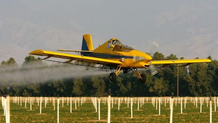 4cd2693e-calfiornia crop getty_1557335001829.JPG-405538.jpg