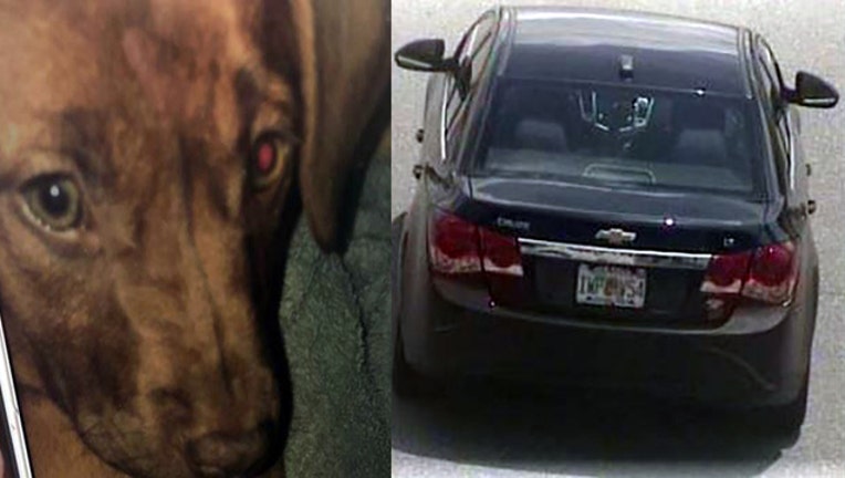 6e837bb0-carjacking-dog-daytona beach_1527818250520.jpg.jpg