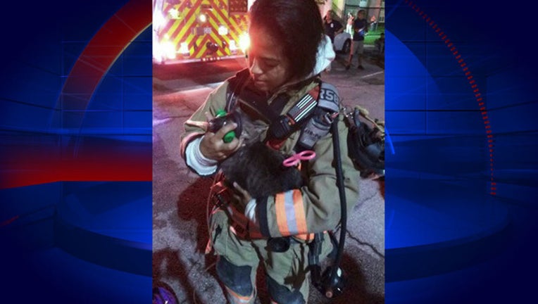 2feabc5c-cat rescued from fire_1561919872619.jpg.jpg