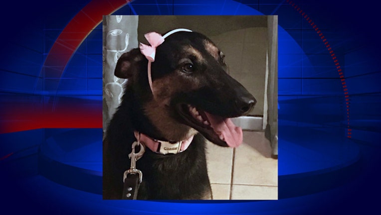 2aaf5e09-cocoa-police-K9 Kyra_1532487318452.jpg.jpg