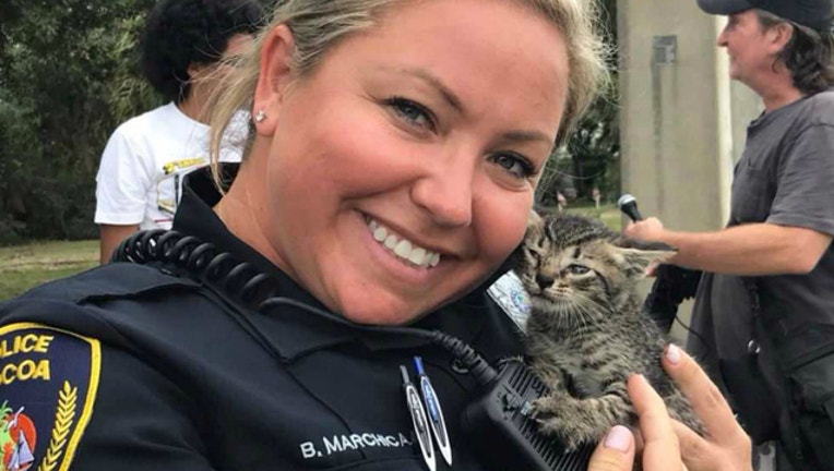 3cf0bf48-cocoa pd kitten rescue_1508287419797.jpg