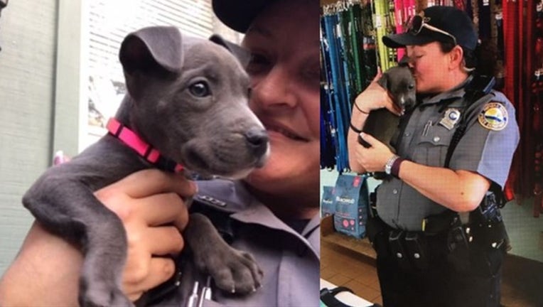 385dbb06-daytona beach frozen puppy_1517851996925.png.jpg