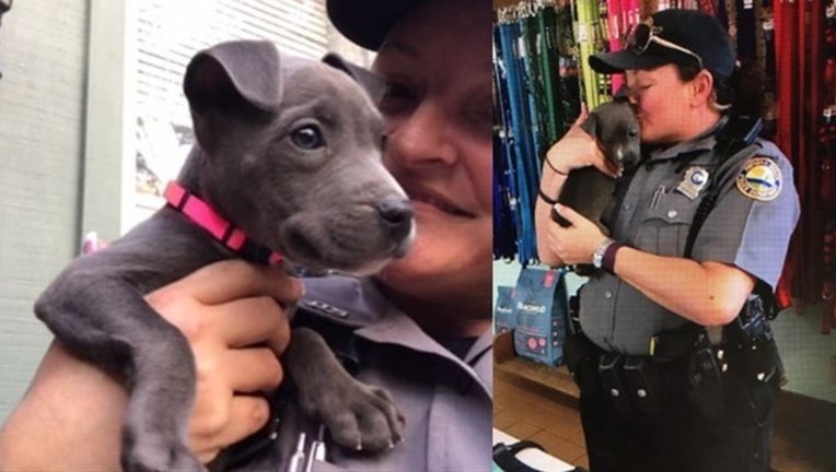 b85cc4dc-daytona beach frozen puppy_1517851996925.png_4891369_ver1.0_640_360_1518278868074.jpg-401385.jpg