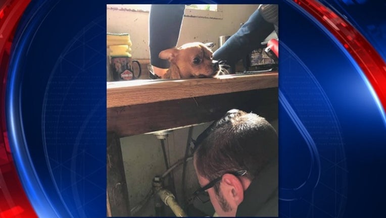 734773f8-dog stuck in sink rescued_1547940793918.jpg.jpg