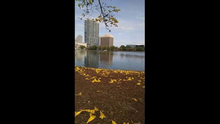 d8f5fe06-downtown orlando_1485617752819.jpg