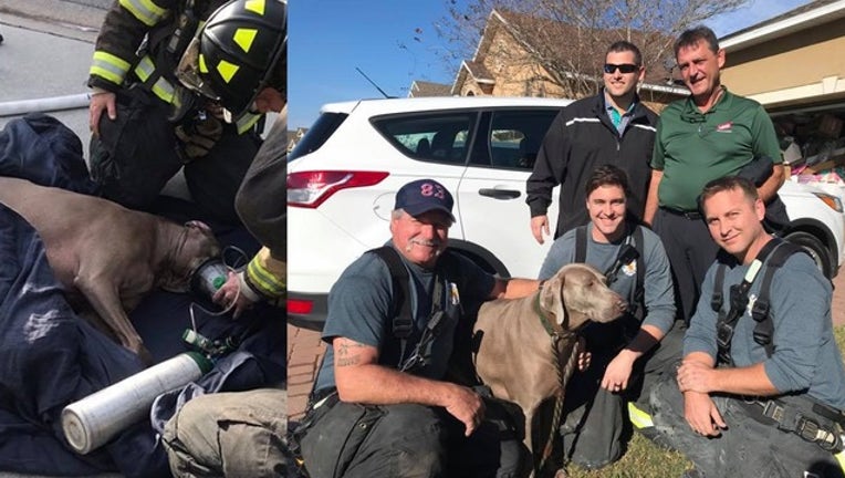 a03ca970-firefighters save dog_1547664930794.png.jpg