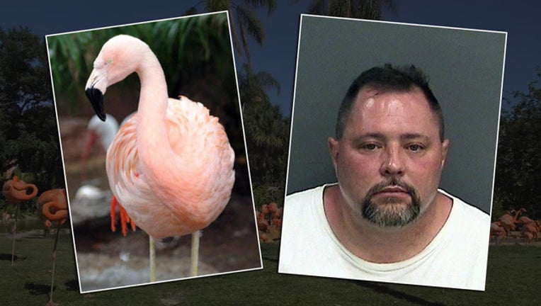 6fce5987-flamingo assault_1470259498438-401385.jpg