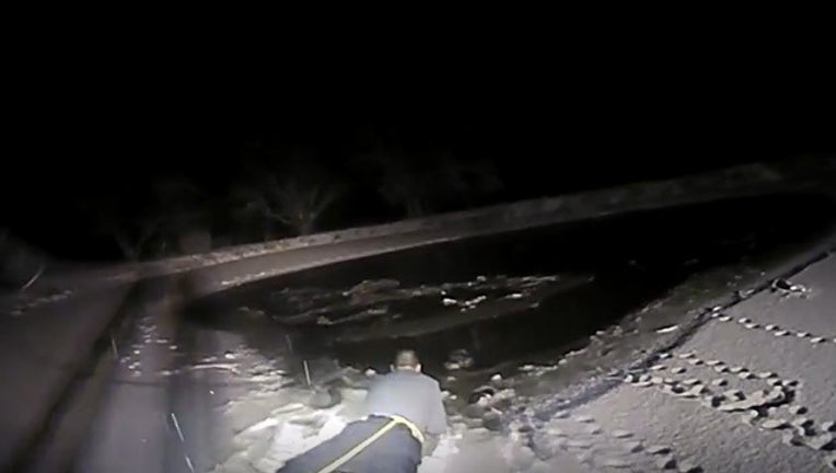 21720d4f-freezing dog_1513888156395.jpg-407693.jpg