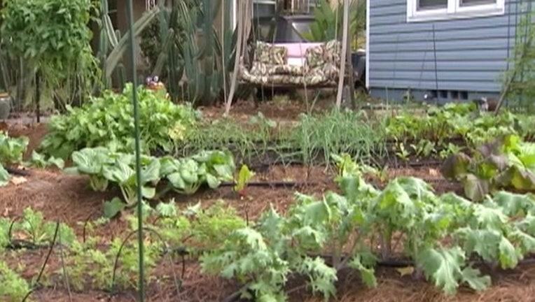 front-yar-garden_1549922455353.jpg