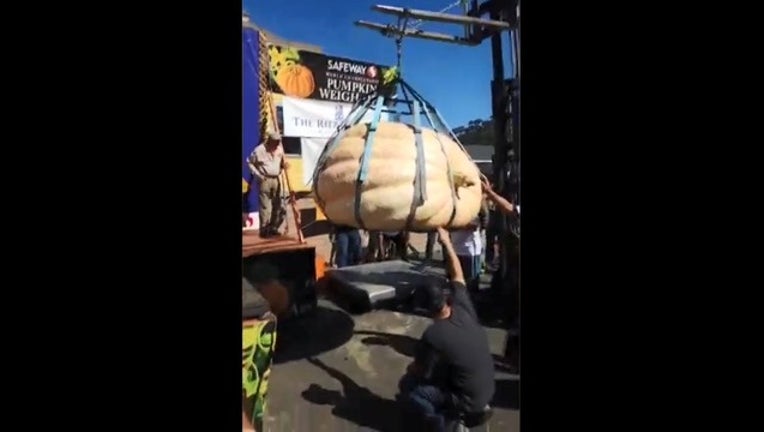 8ce10f06-giant pumpkin_1539058468550.PNG-405538.jpg