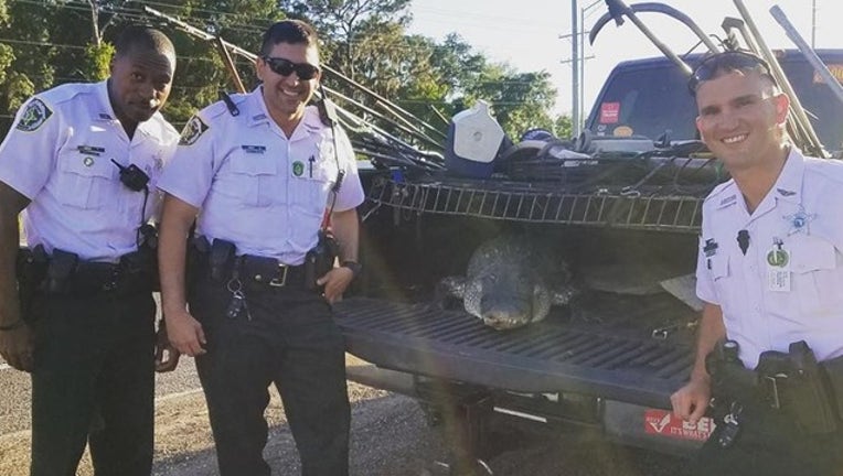 hillsborough county sheriff's office_walmart gator_041619_1555435314230.png.jpg