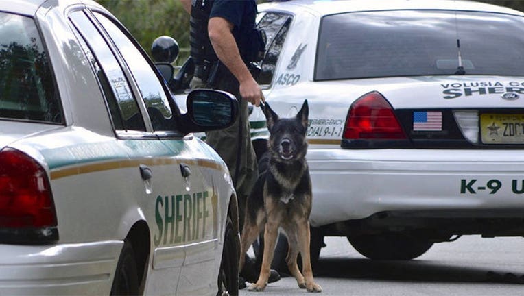 1b850199-k-9-endo-volusia-county_1464322101154.jpg