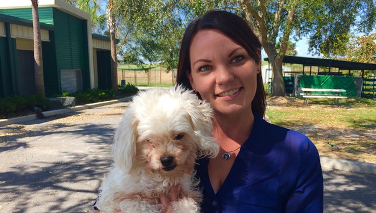 Lake county spca on sale