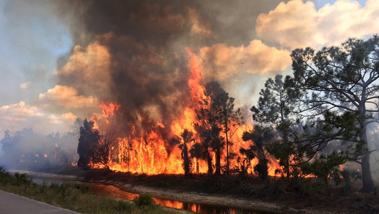 merrit-island-brush-fire_1492813587041.jpg