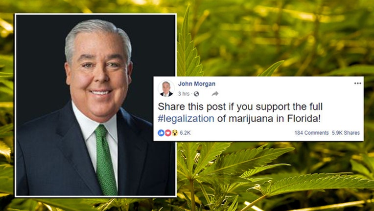 3152b2e6-john morgan marijuana legalization-401385