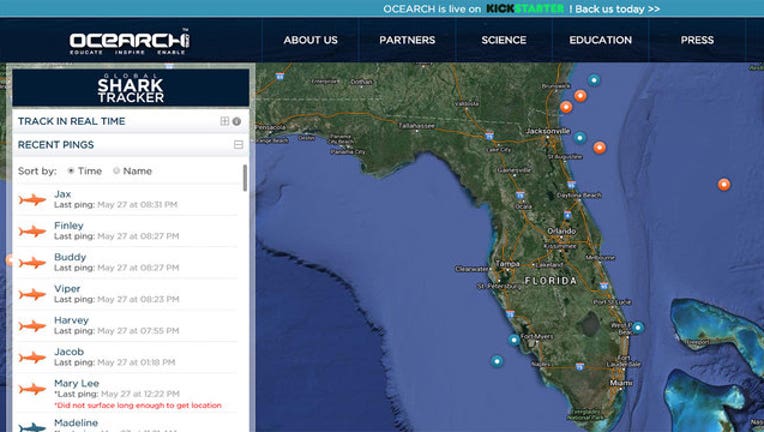 45623a12-ocearch-shark-tracker_1464404913398.jpg