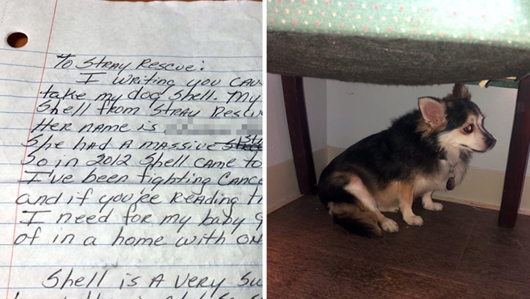 7035007d-plea for dogs adoption SRSL WTVT_1538675705205.jpg-401385.jpg