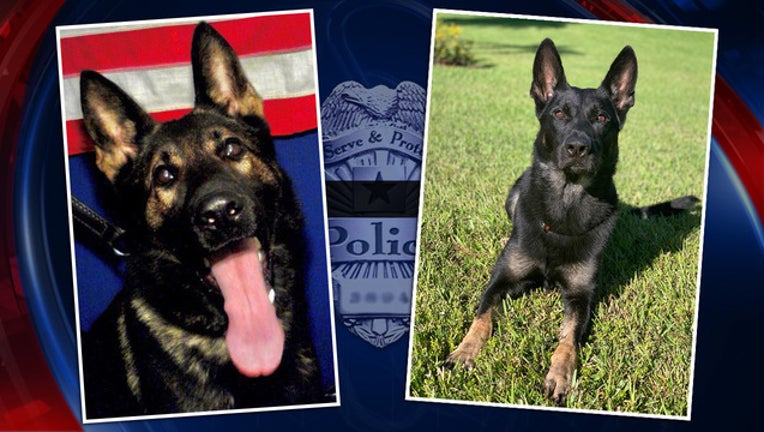 eaa1320f-police k-9s_1552410946197.jpg-401385.jpg