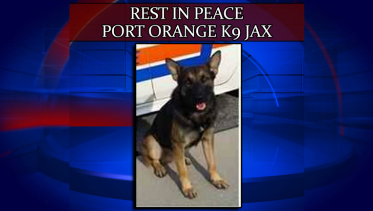 1e60d57f-port orange k9 jax_1508198319155.png