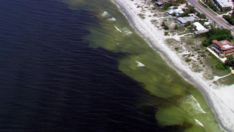 884a756a-red tide sarasota WTVT_1539030682854.jpg-401385.jpg