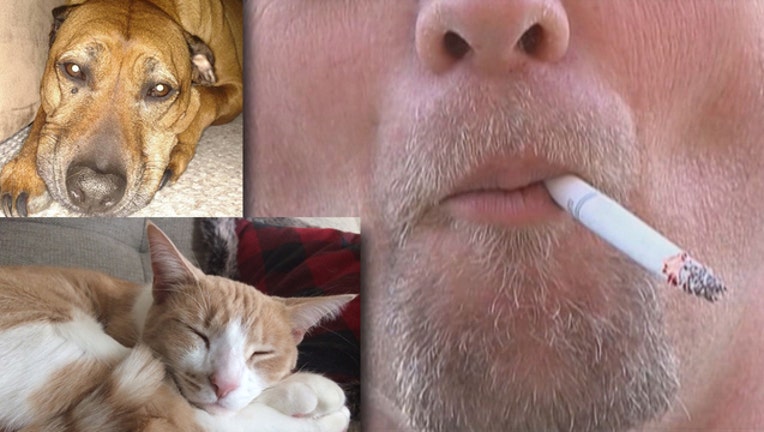 56665f44-smoking and pets_1485278021385-65880.jpg